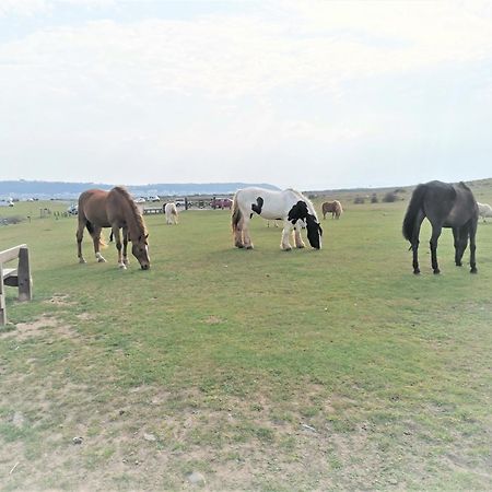 Greenways Valley Holiday Park Great Torrington Dış mekan fotoğraf